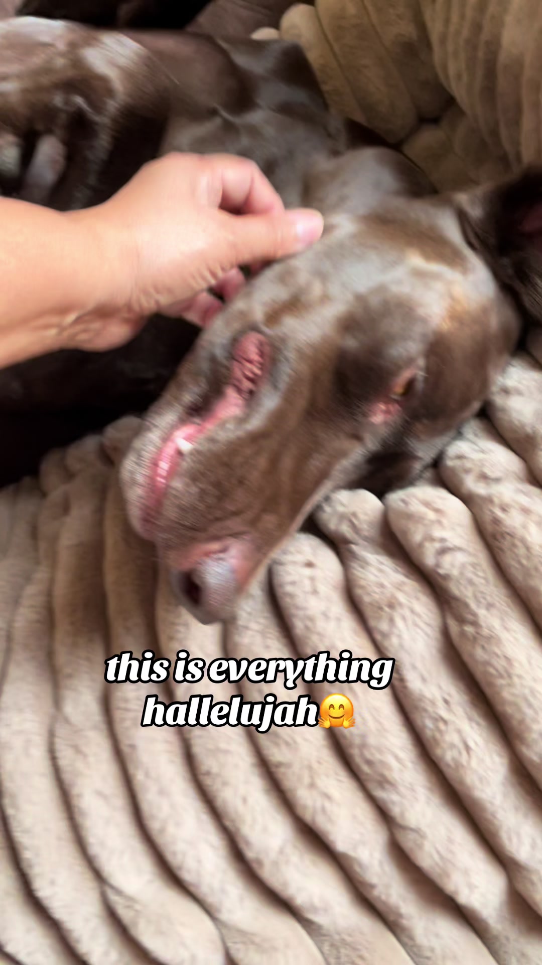 @Rocky_and_mom 🐾❤️🐶