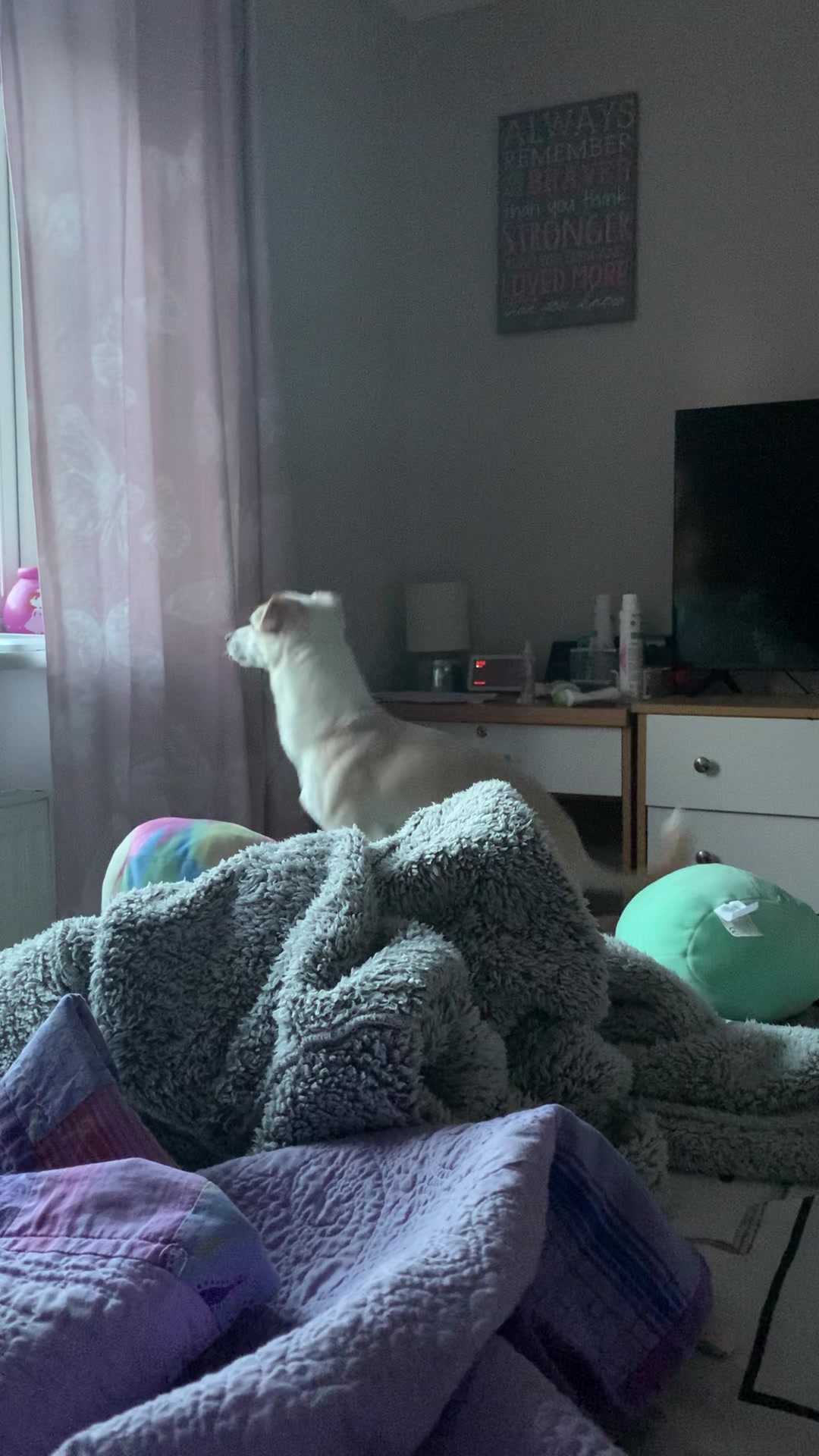 @Nala