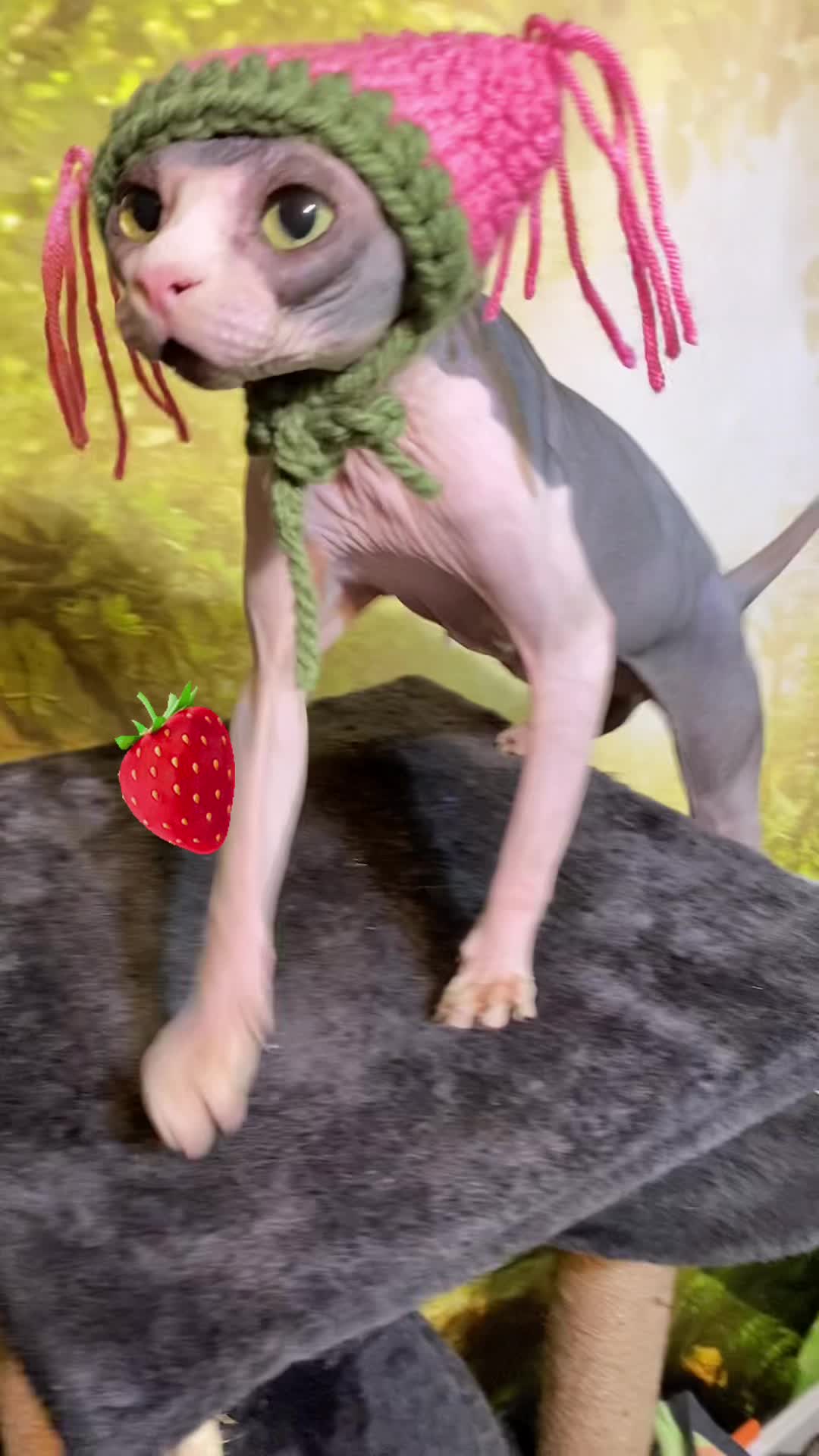 @SquiggyTok