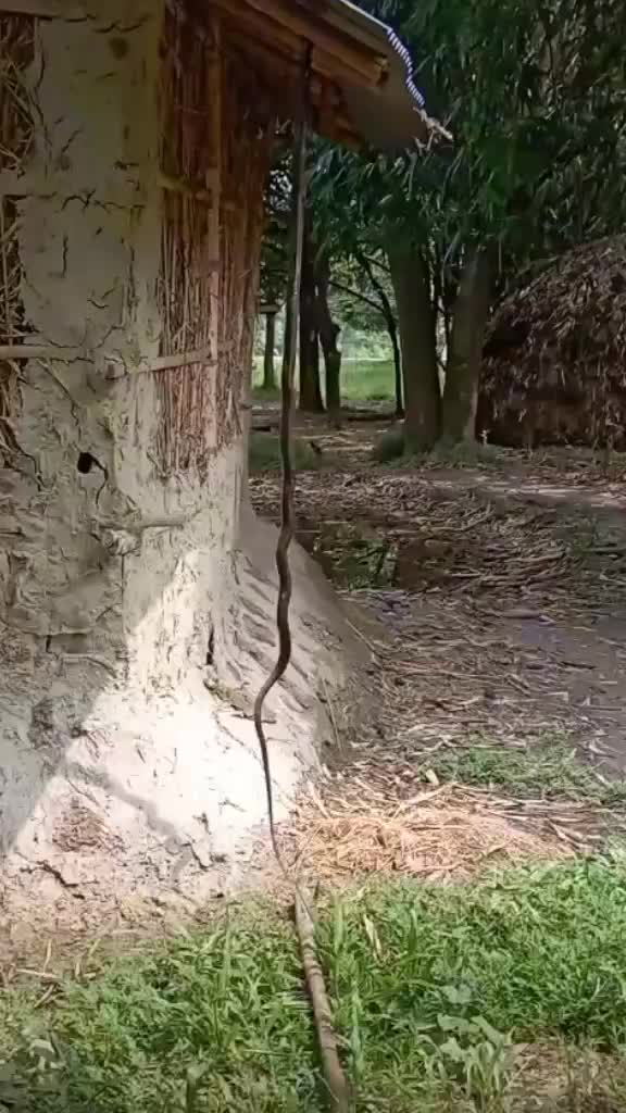 @Anish yadav