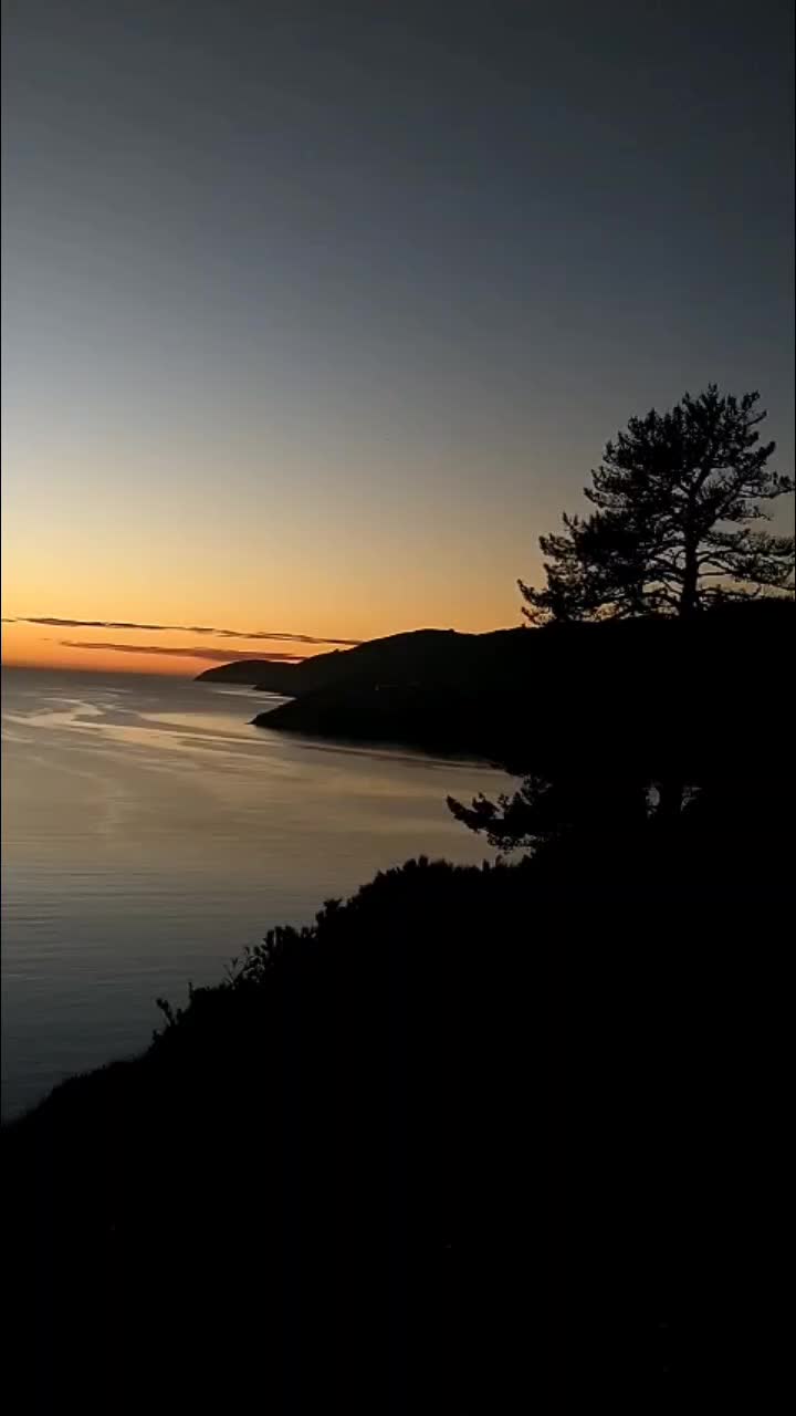 @z.m.