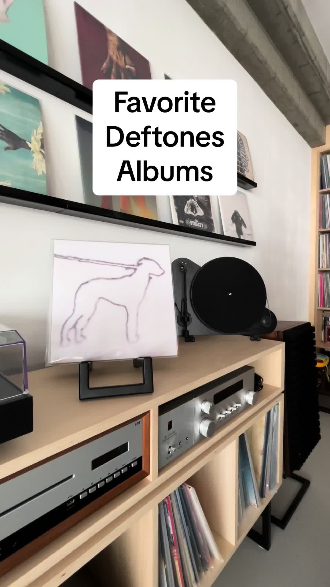 @vinylbydayzee