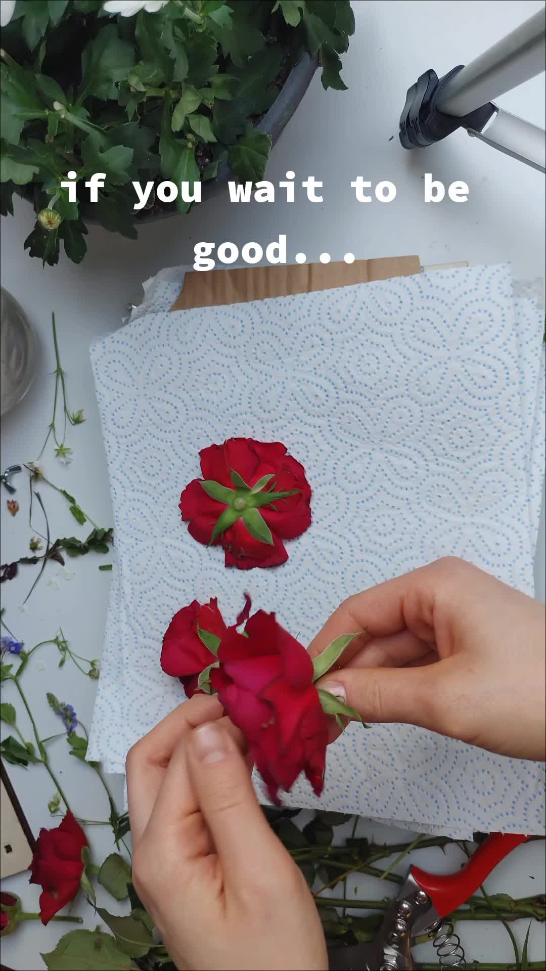 @juxy_art