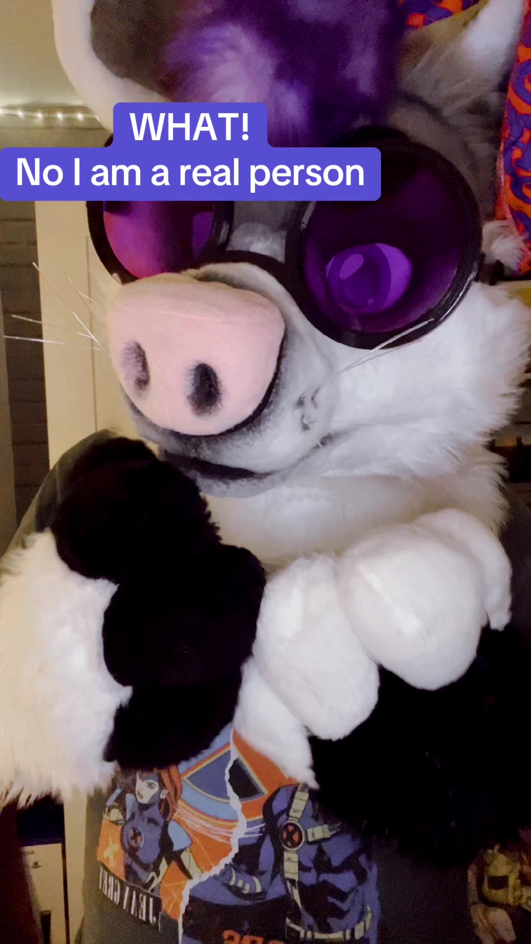 @StripeDaFox