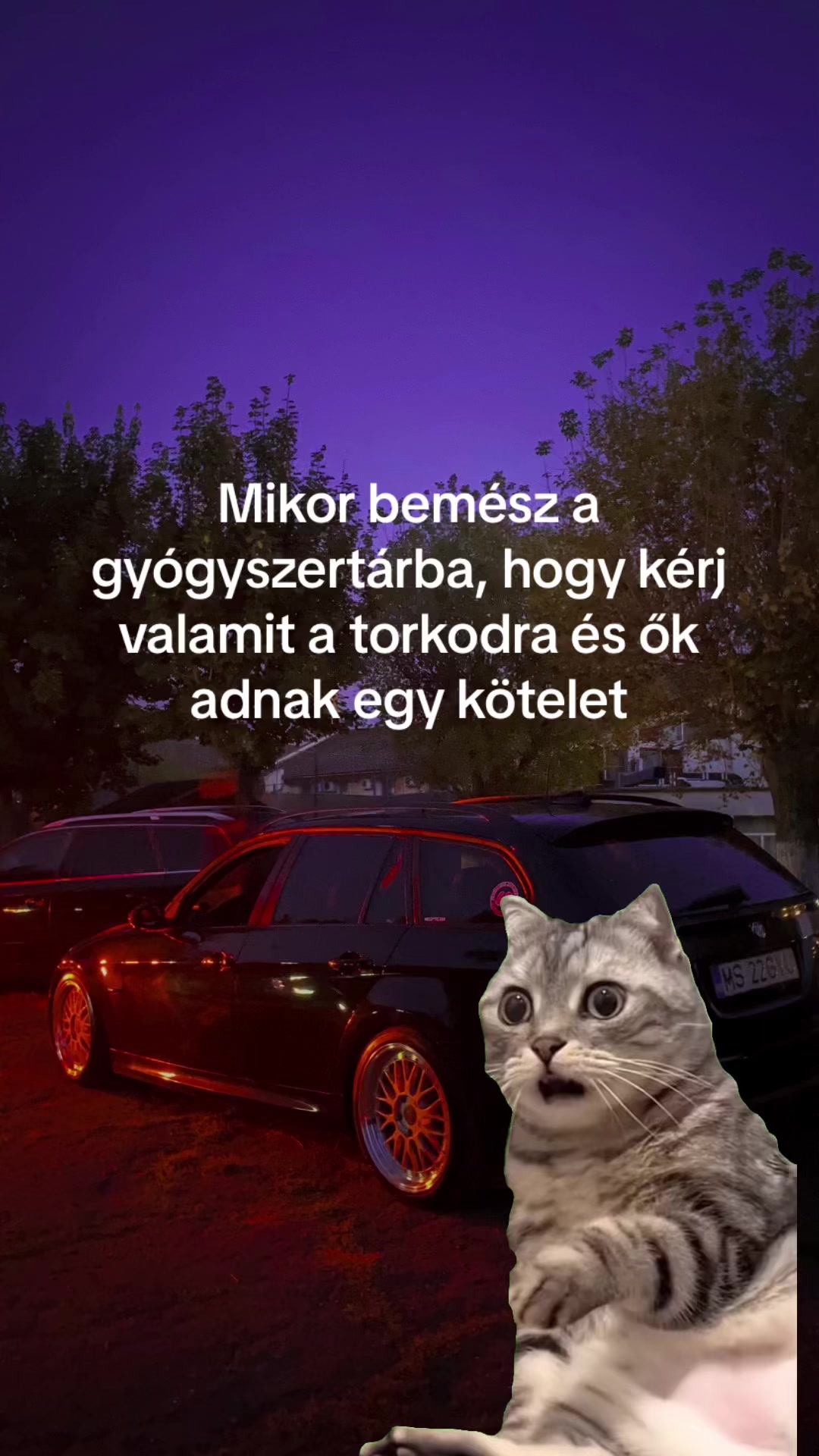 @Gyu