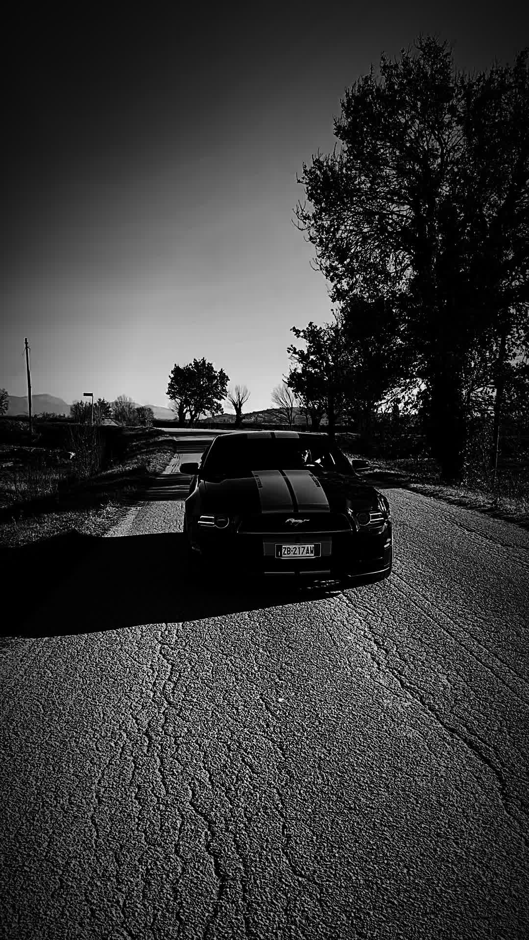 @Sergiomustang86