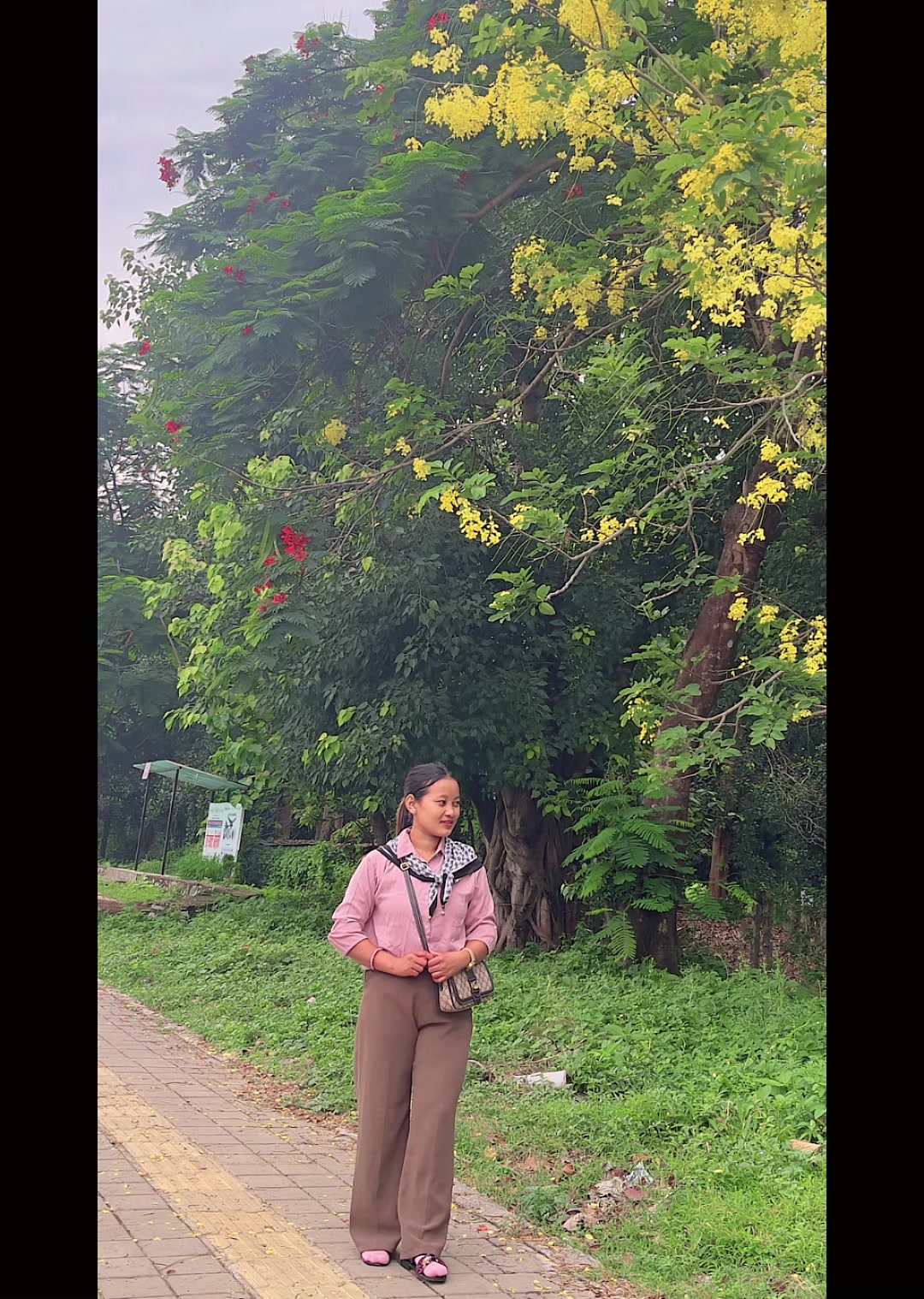 @95-19