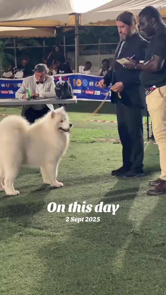 @Mothersheila_DogTv