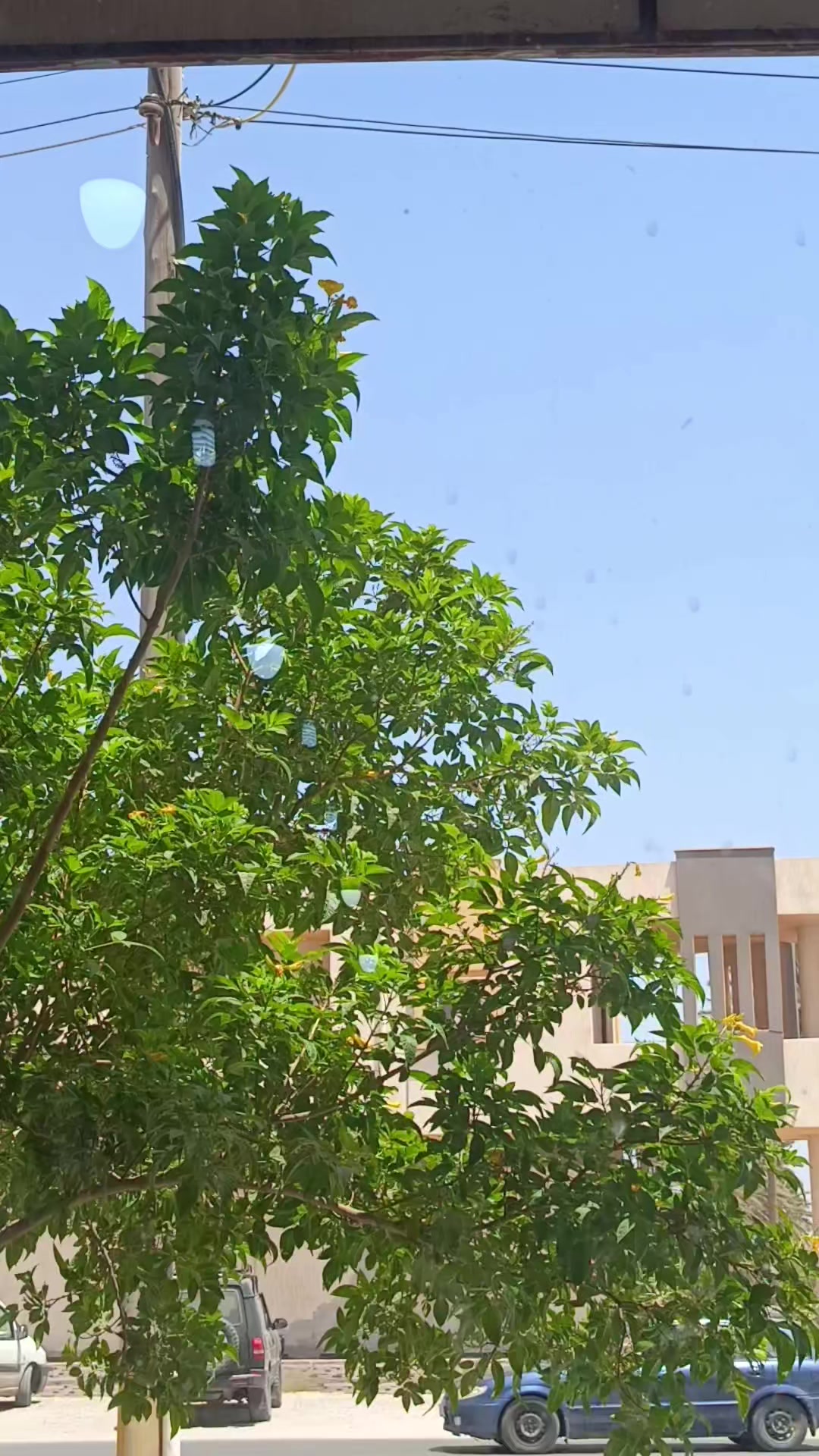 @َإُسٕمــآعيـل | 002َُِّ
