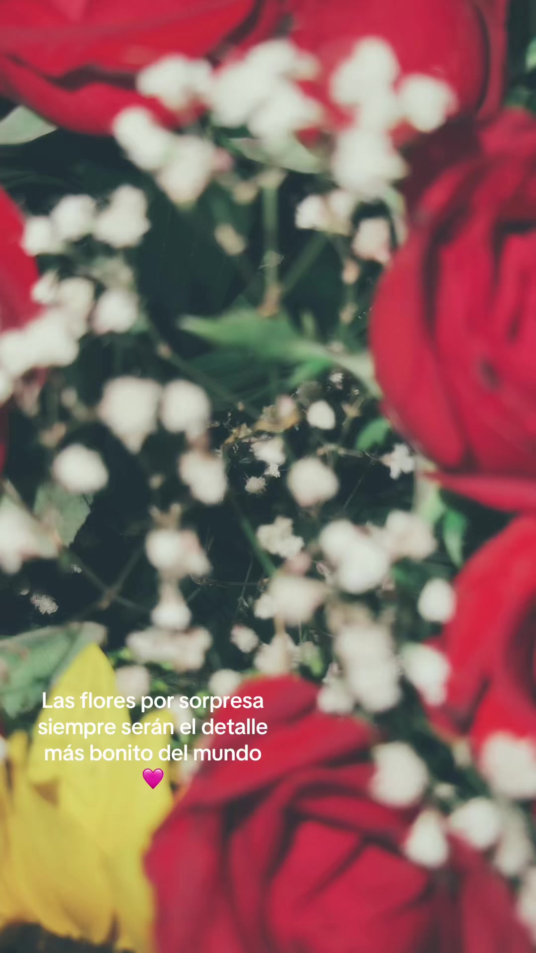 @Ximena García