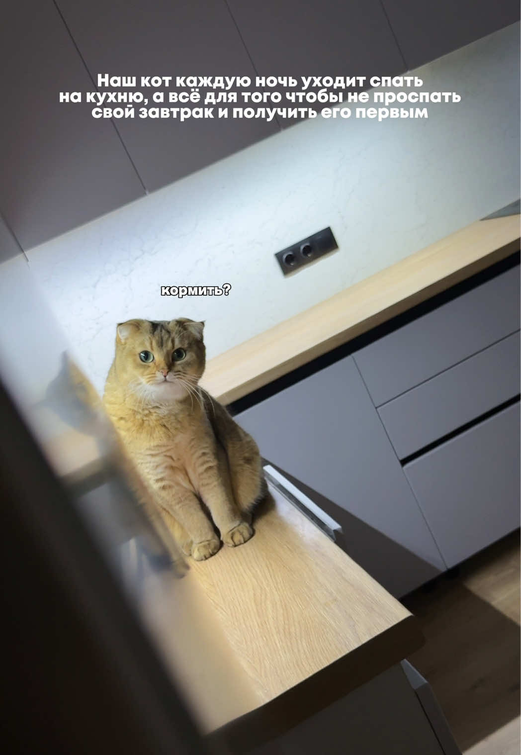 @Владочка
