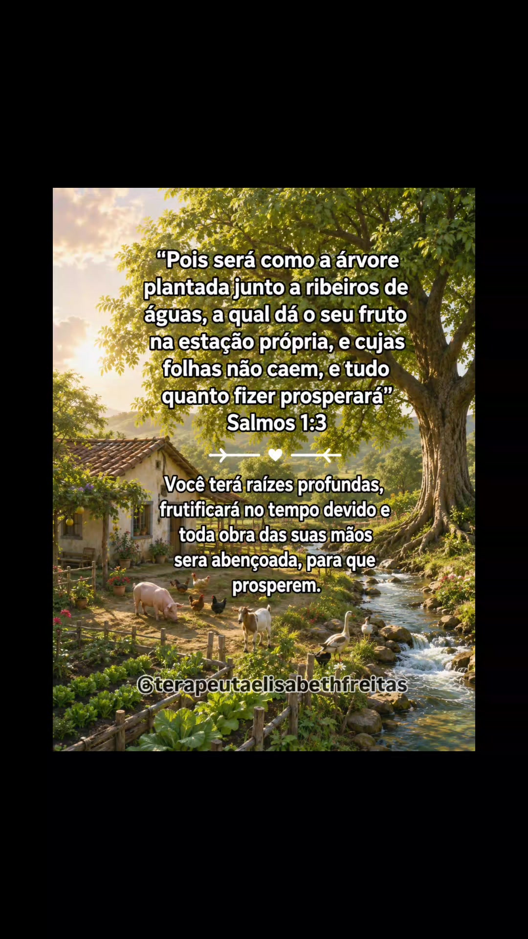@Beth Freitas