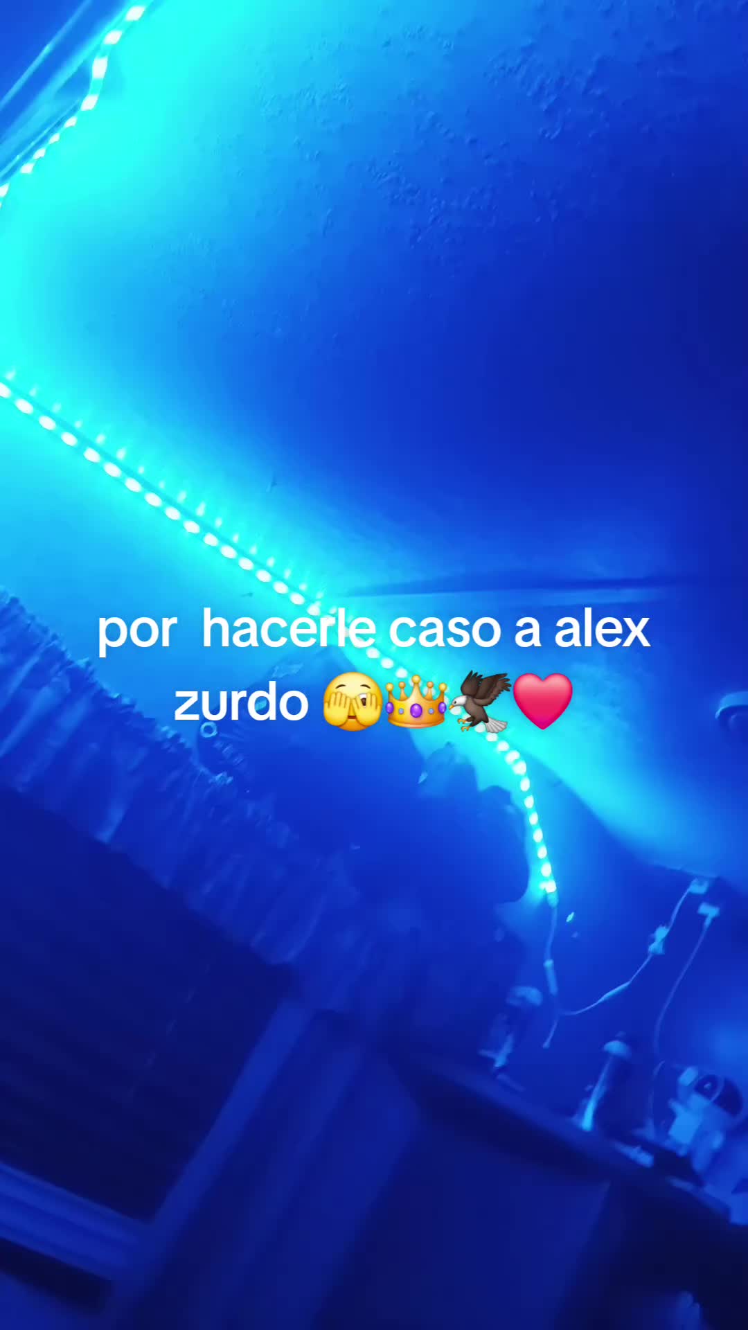 @🍀melod&iacute;a selestial🎹🦅🍀🧎&zwj;♂️