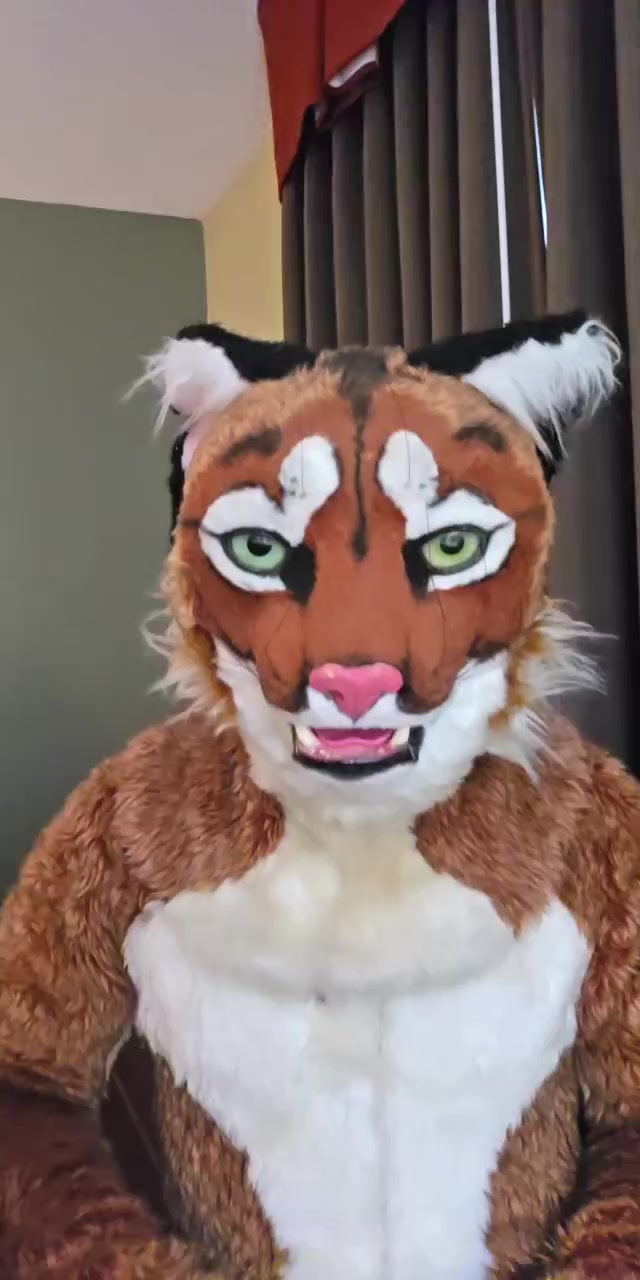 @Furry Mike