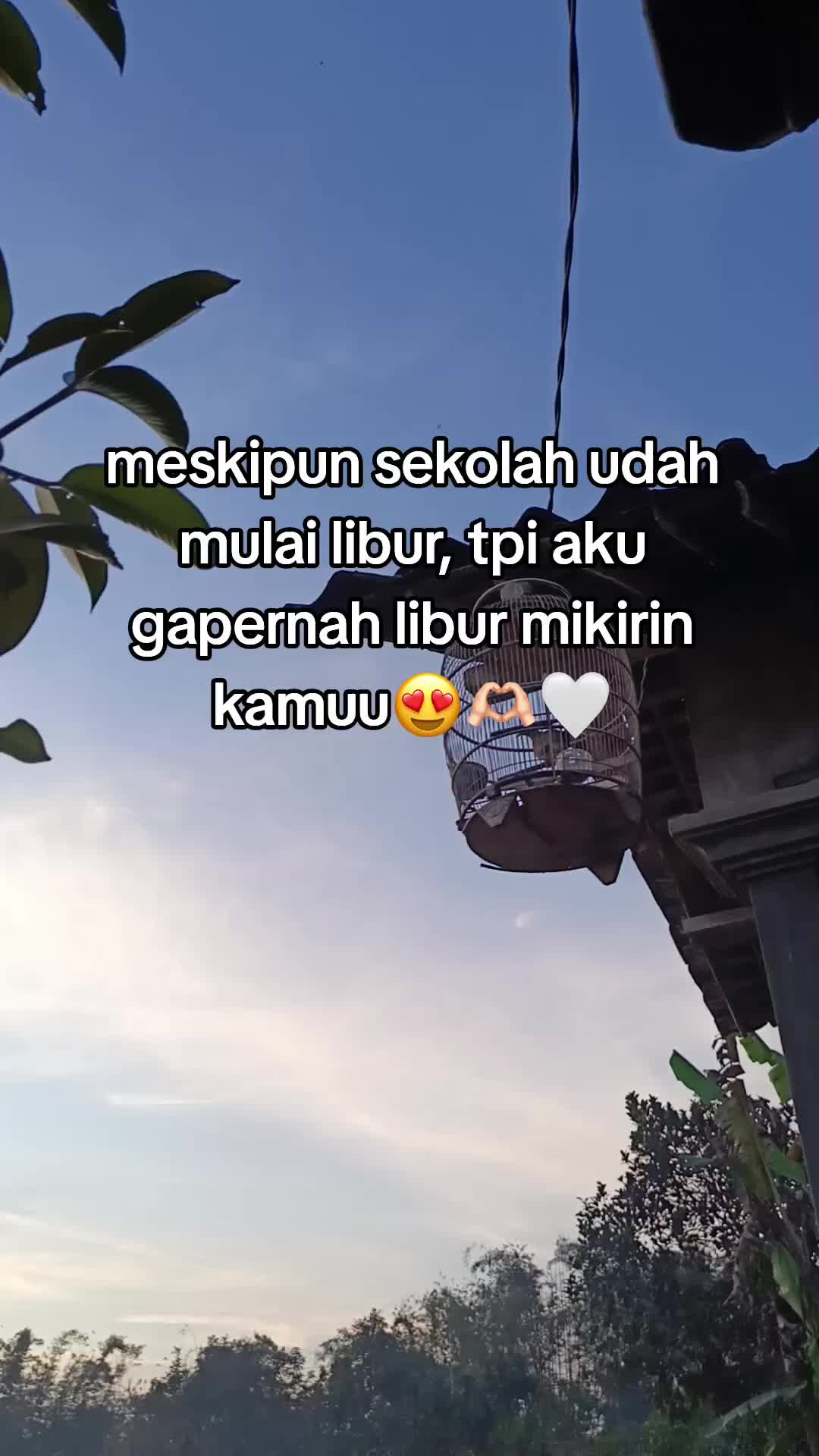 @IG @4dzxx²⁶⁰