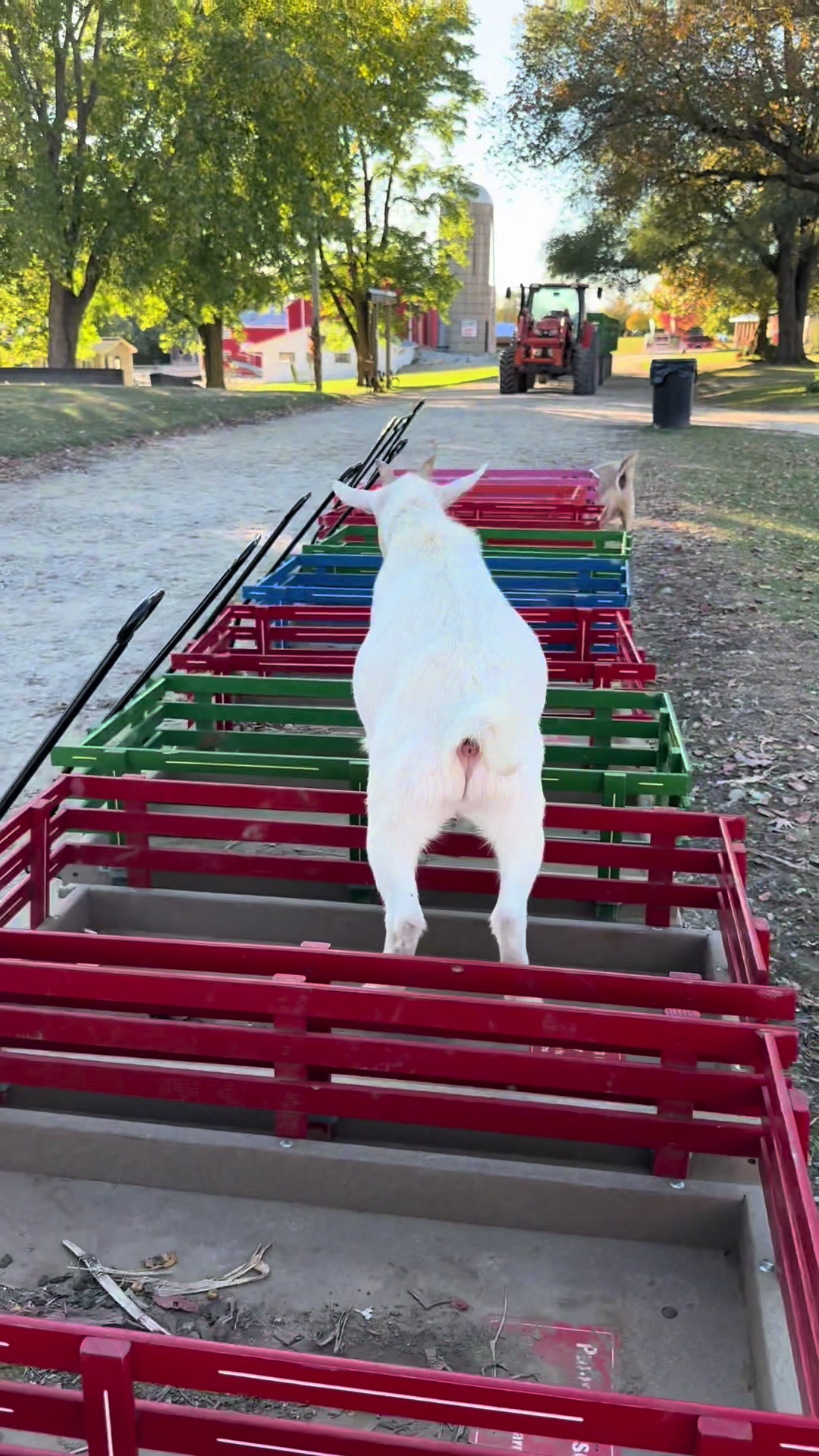 @GreenMeadowsFarmWi
