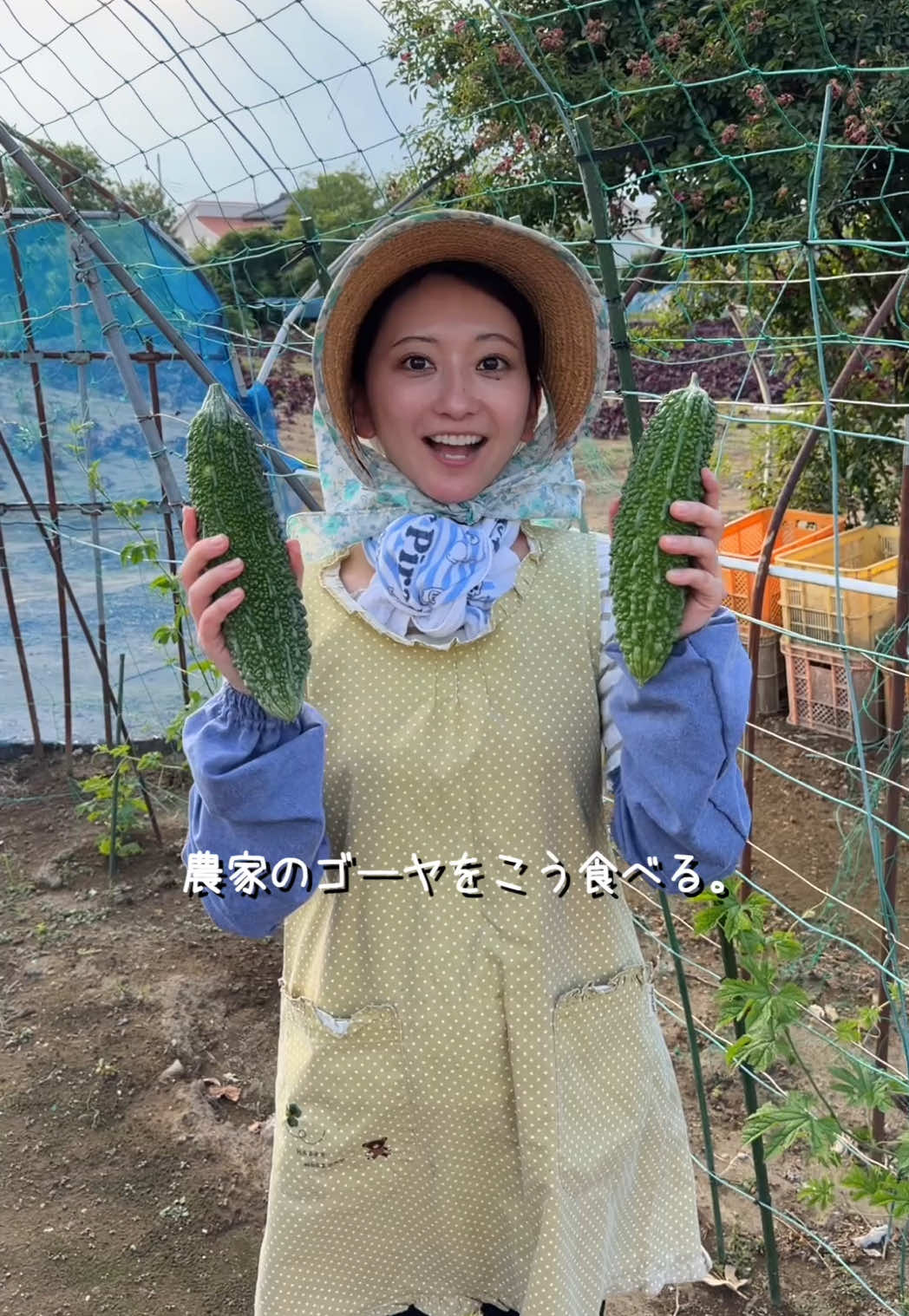 @こぴ