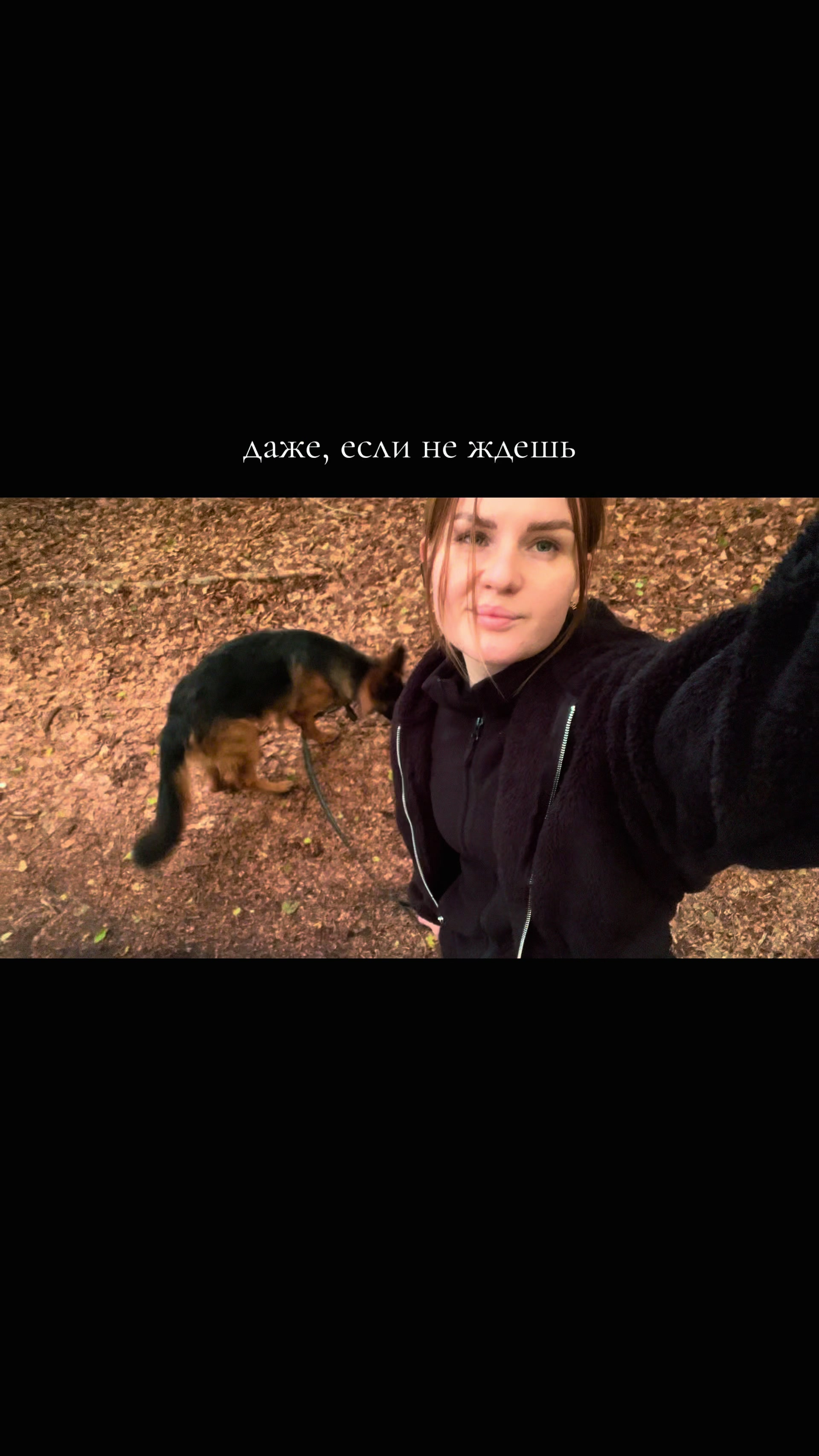 @за лапами