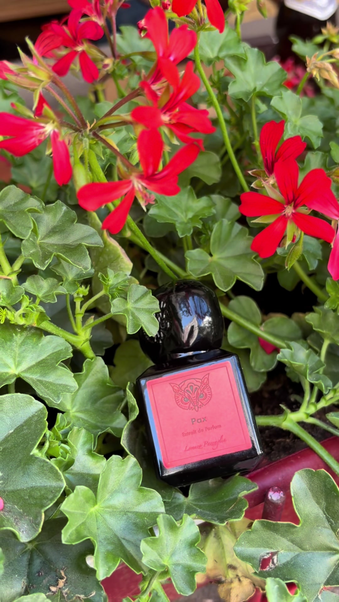 @(SSF) Strong Style Fragrances