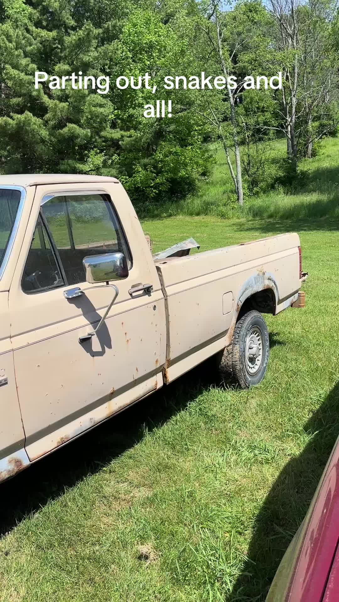 @Musclepartsbyrich