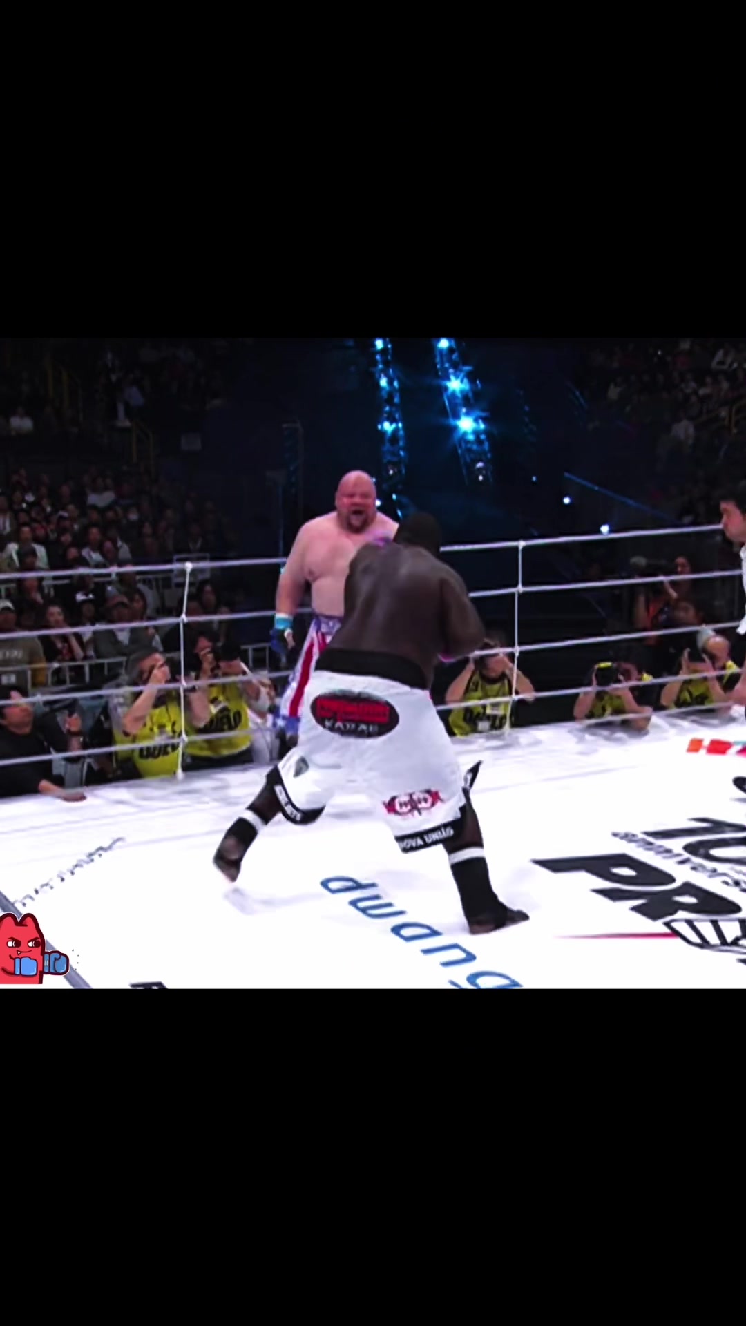 @boxer_tk