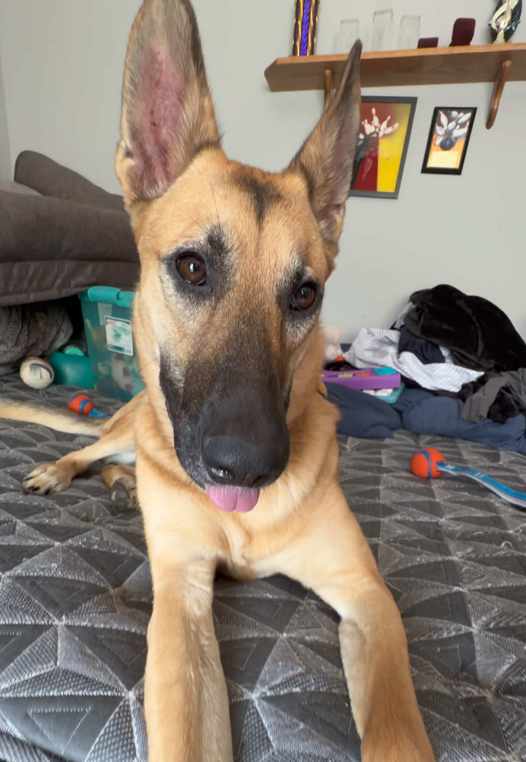 @Kiki.GSD