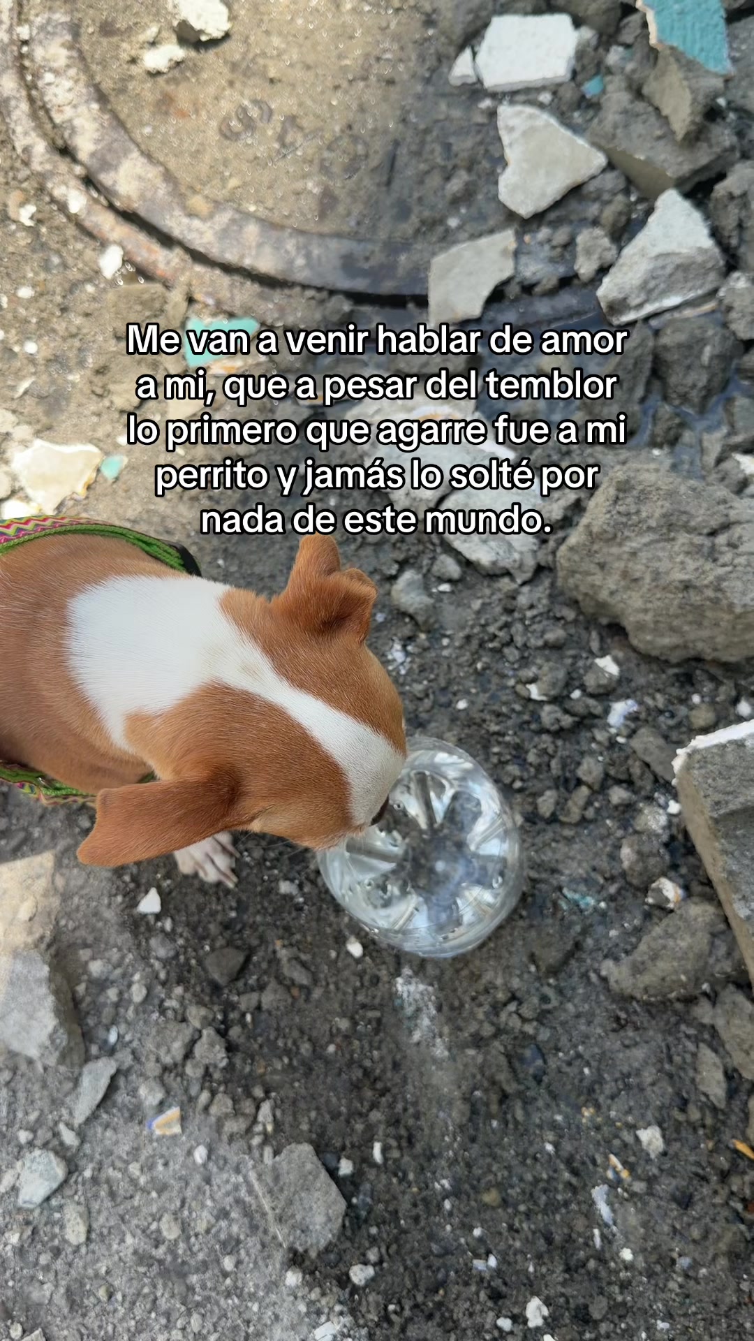 @Manuelav✨