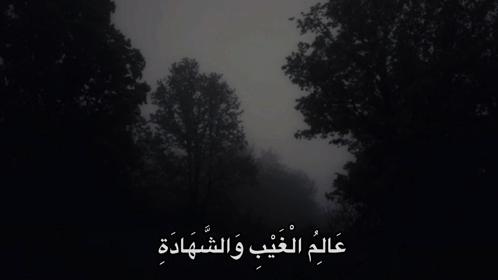 @يَحْيَىٰ|𝐘𝐞𝐡𝐢𝐚