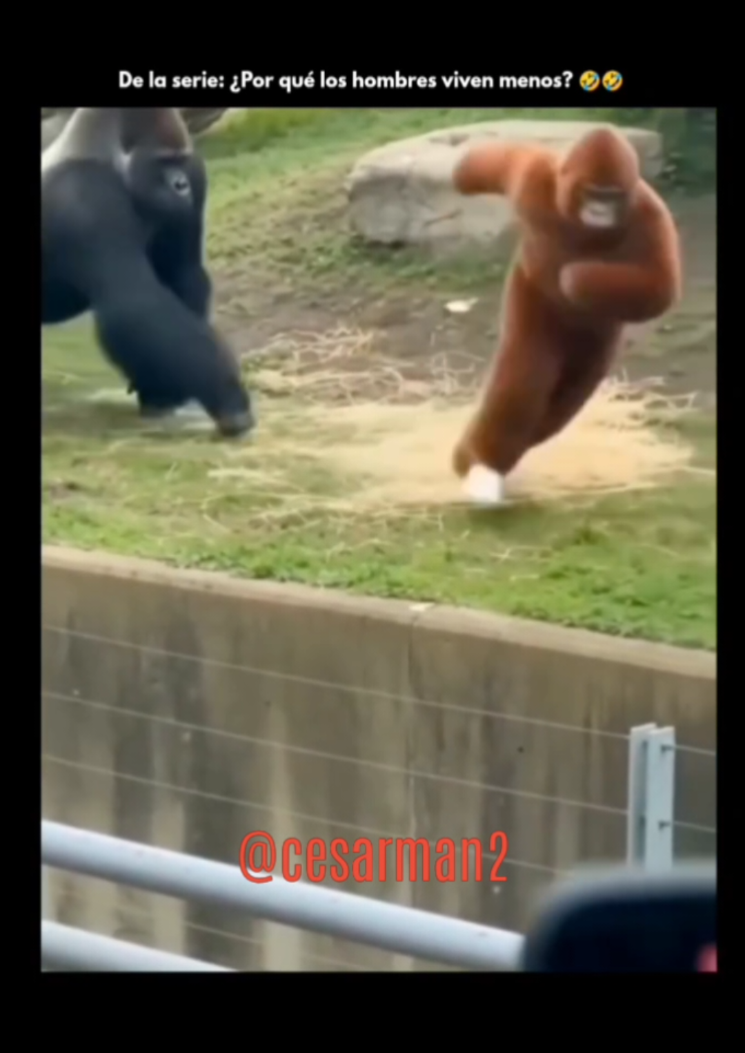 @CesarMan2