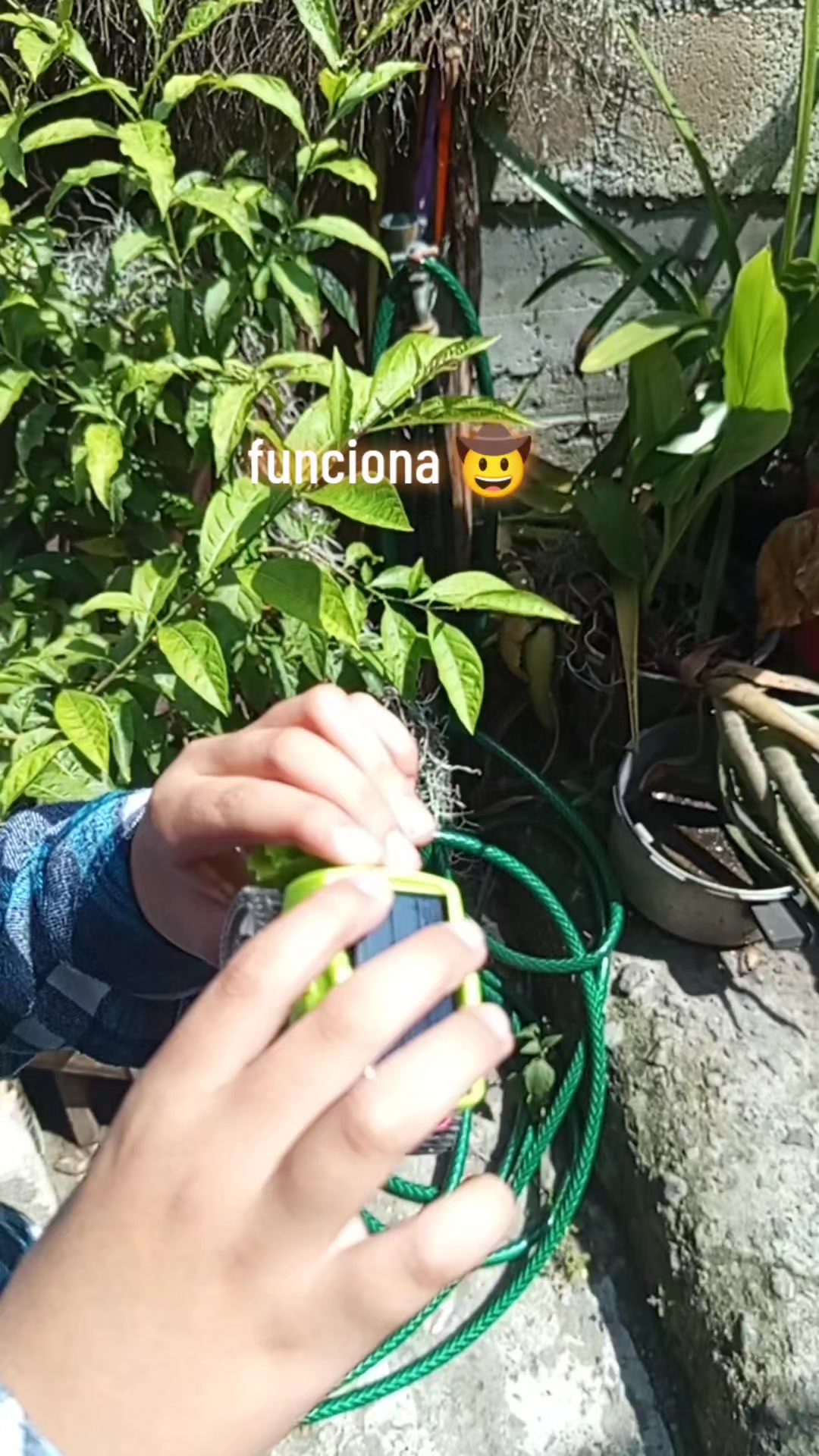 @MaxiMoon