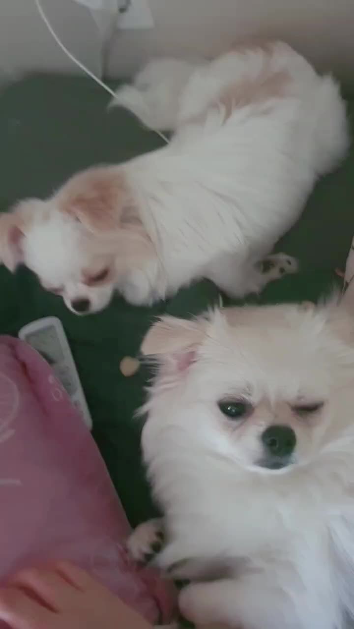 @๋ง์ค