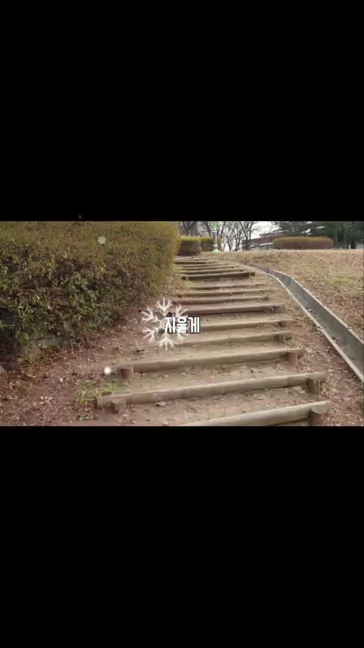 @●&sect;💛📒노랑노랑한 로라👑💛&sect;●