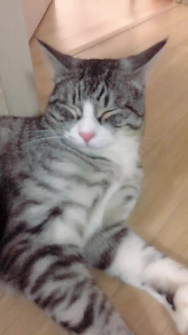 @누