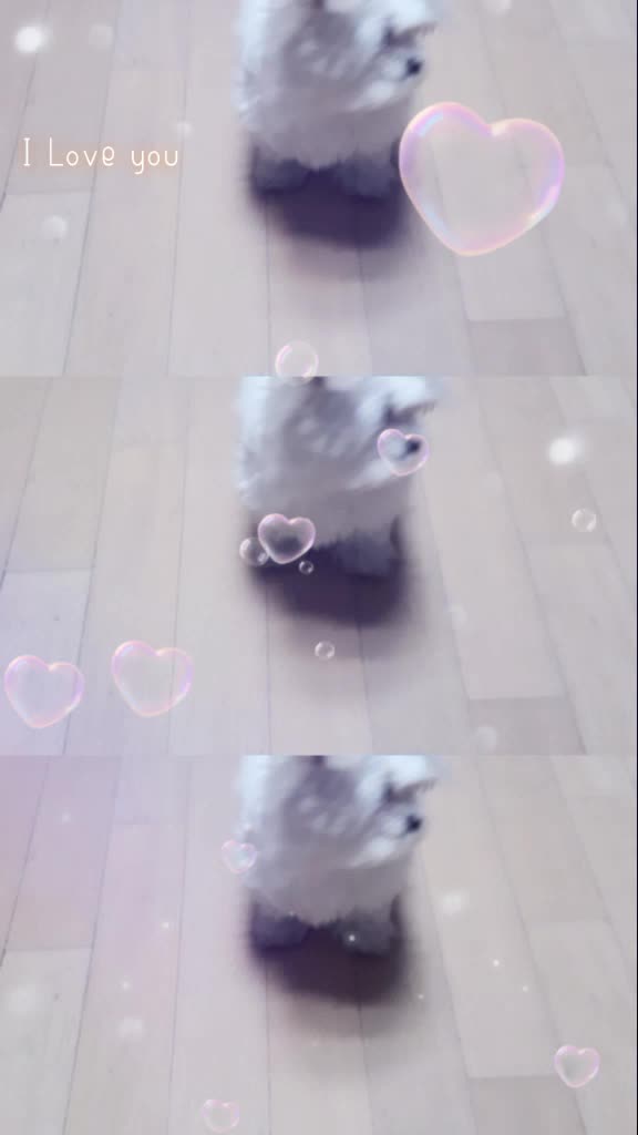 @구름이의 일상