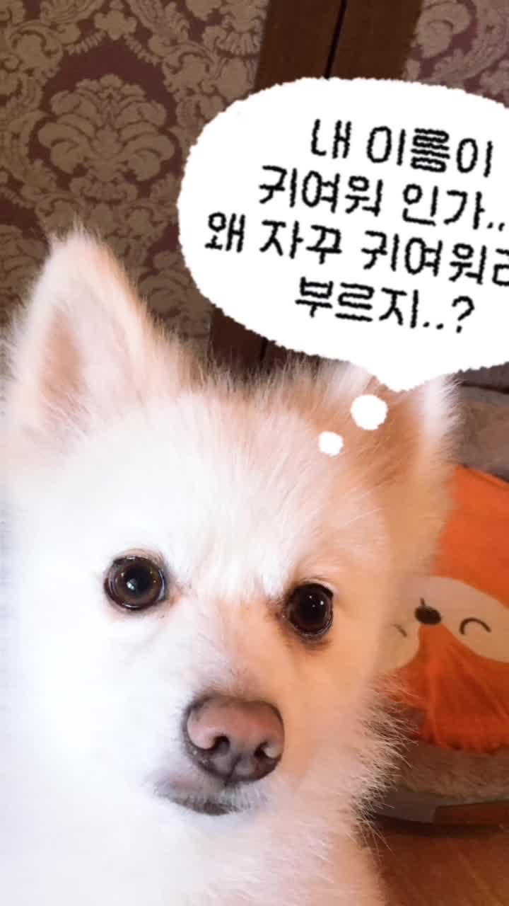 @과자는맛있쎵❤️