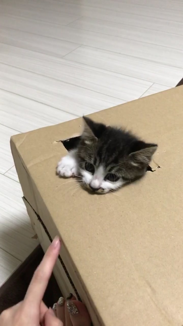 @°ส๐ฉตษ°