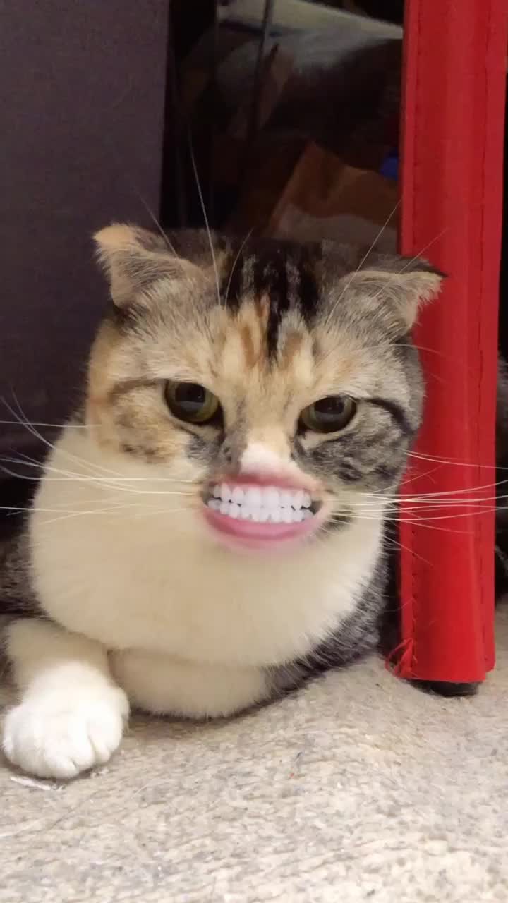 @アルトーーク