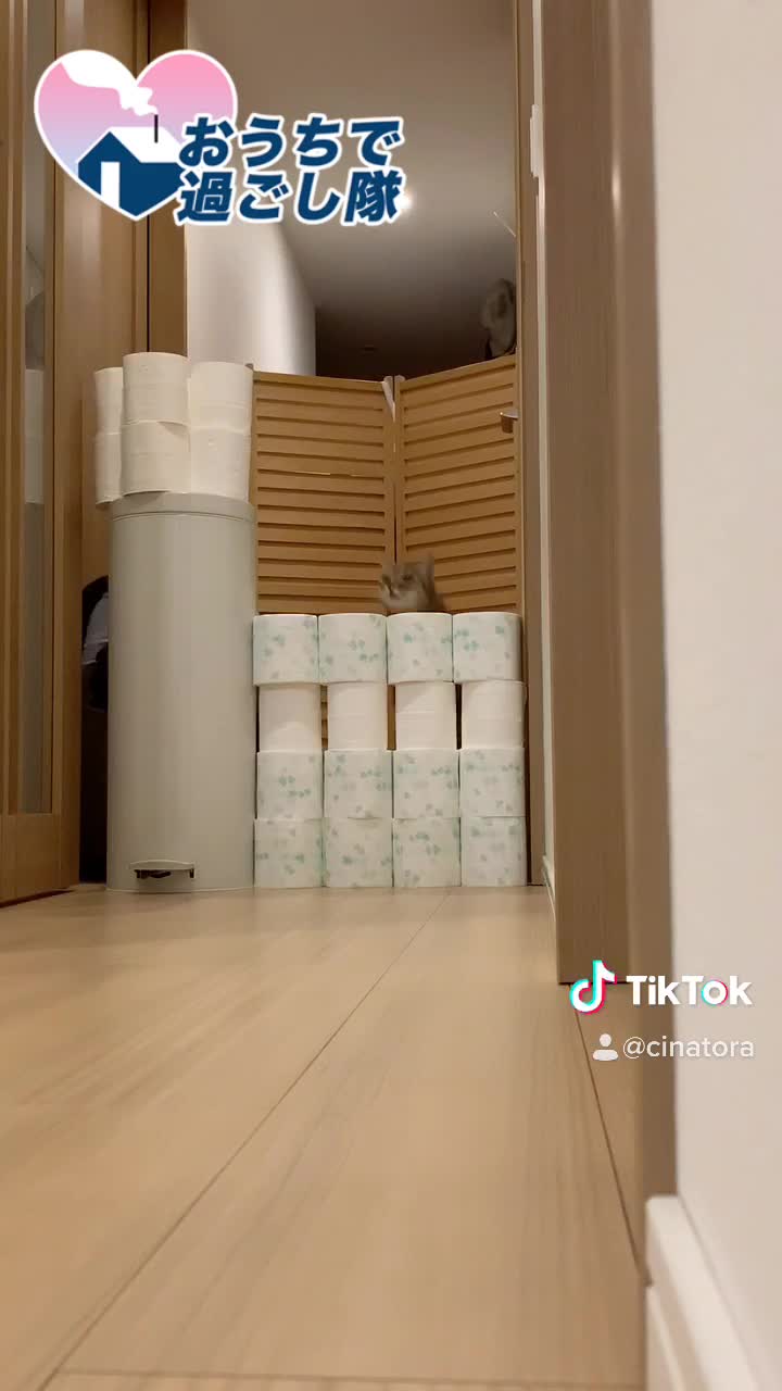 @cinatora