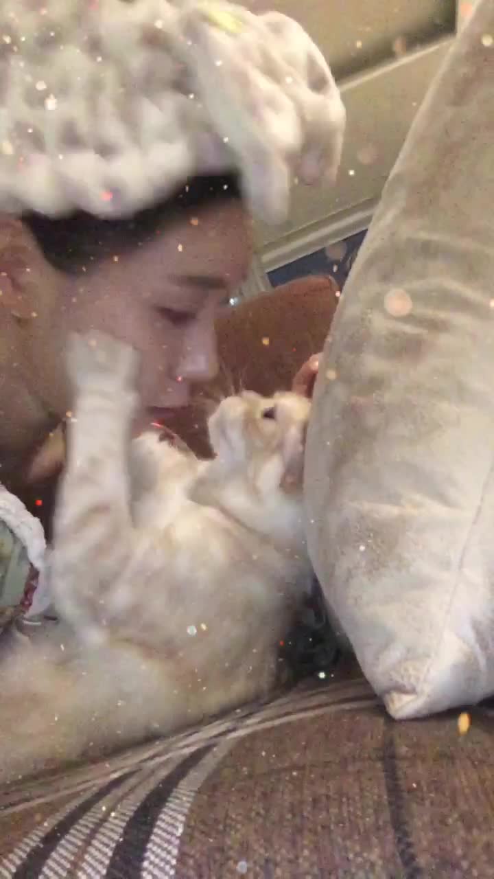 @๐ธ๐ผํธ์ด์ฌQiseul๐ฆ