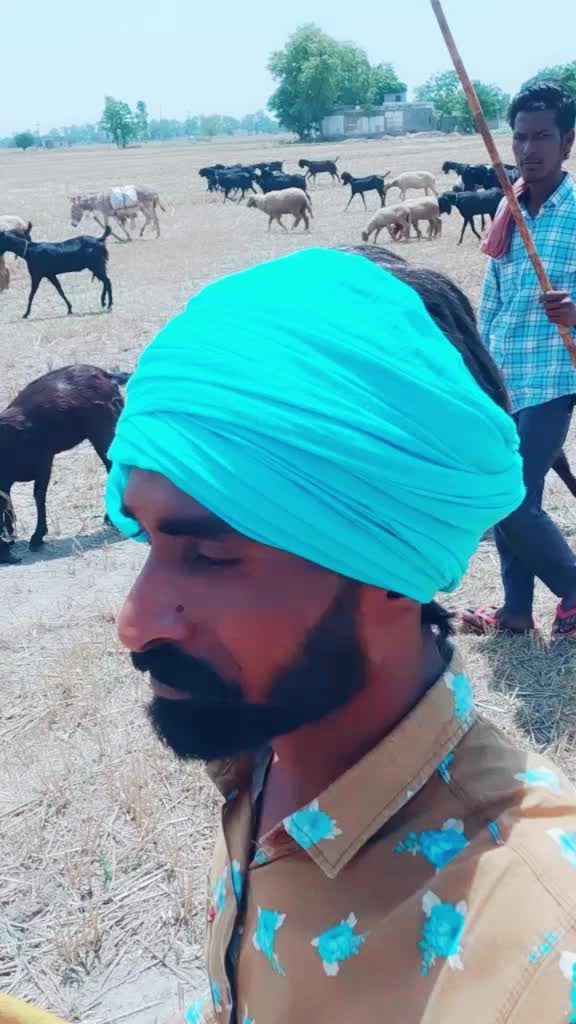 @Satnam Gill