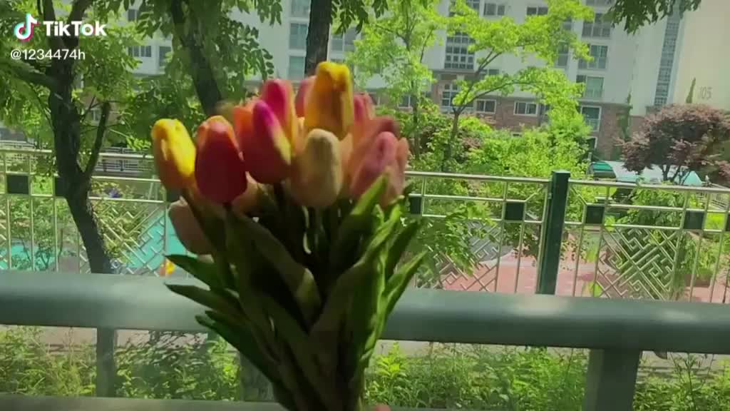 @짱구❤