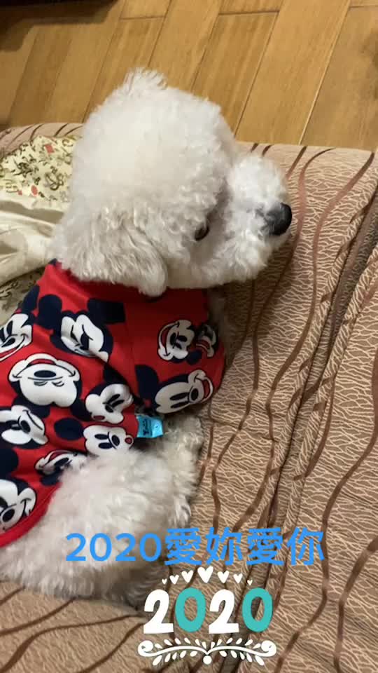 @哈尼