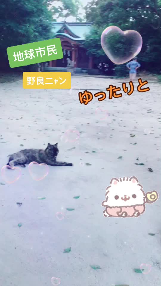 @あき(^^)フォロー100%