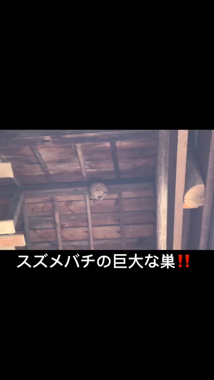 @アグリノムラ