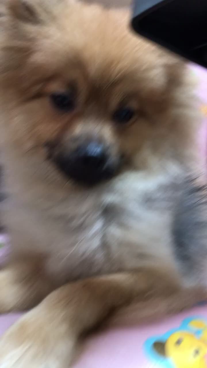 @하꼬꼬