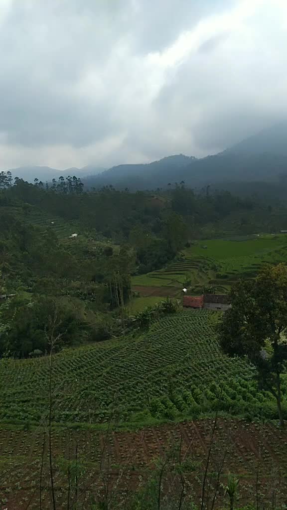 @🇮🇩📌 &Oslash;J&Oslash;Ⱡ ฿₳₦ĐɄ₦₲ 📌🇮🇩