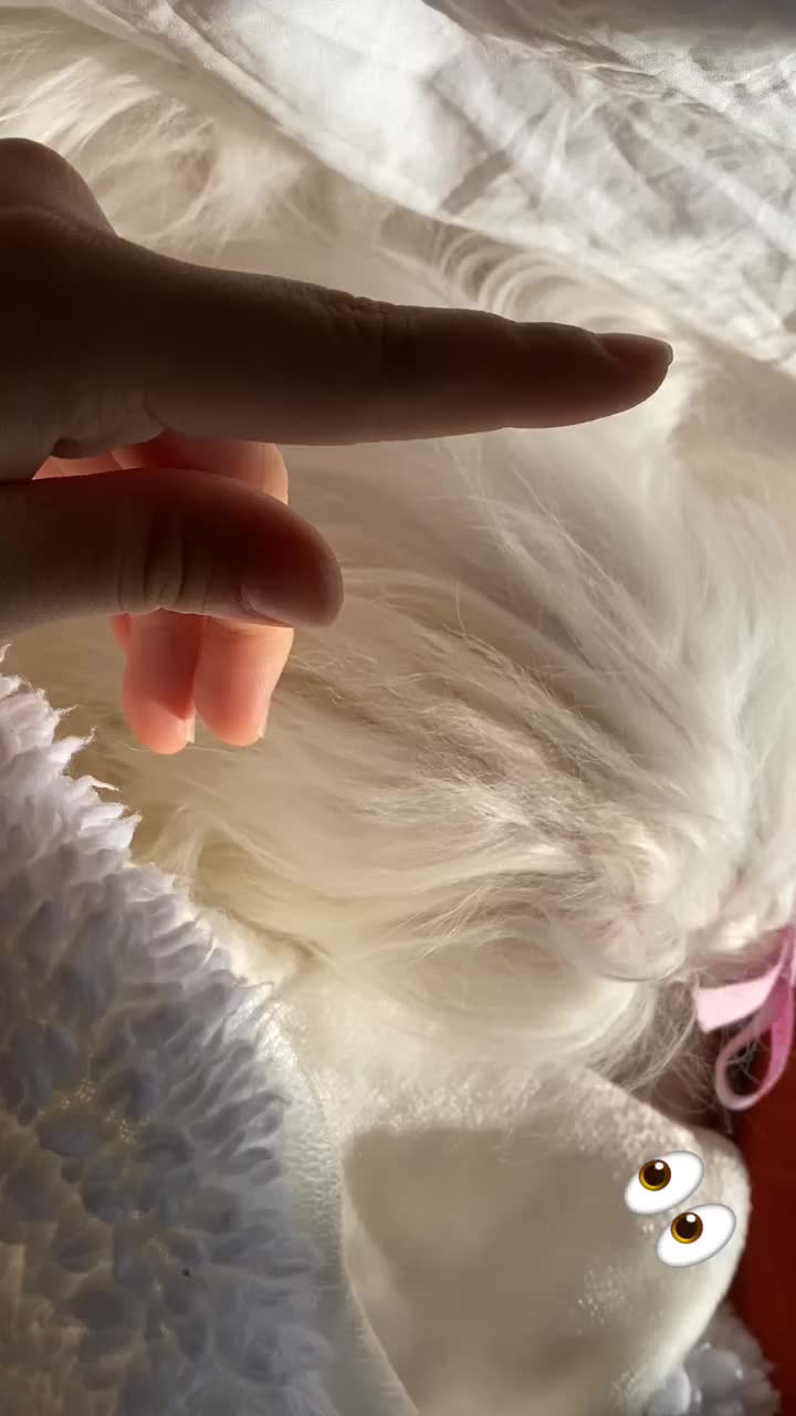 @๐ฒ๐๐๐๐ถโ๏ธ