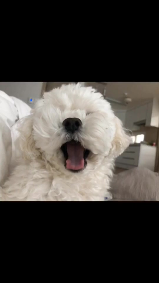 @또꾸네