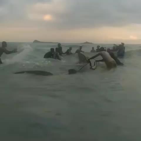 @Sri Lanka