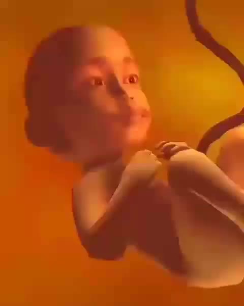 @hiu_elfatih